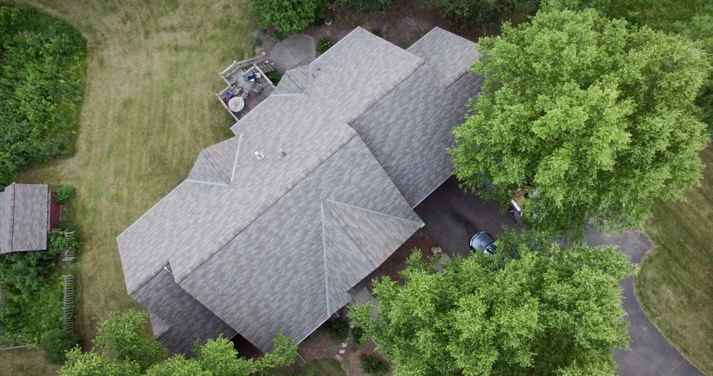 Home with mature trees growing over the roofline