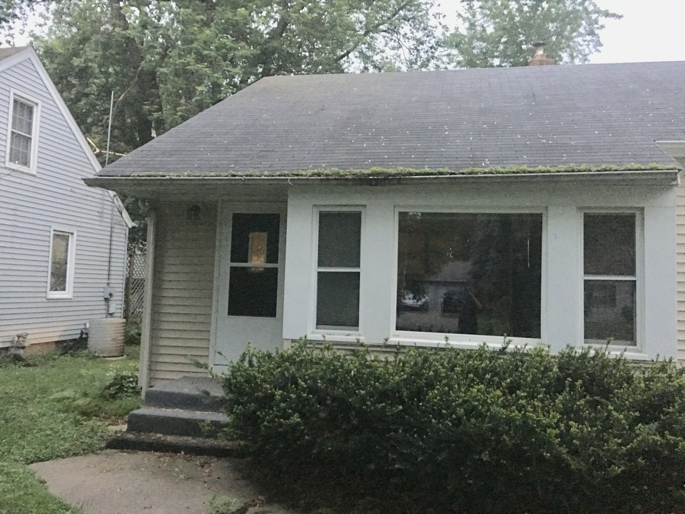 St Paul home with plants growing in gutters