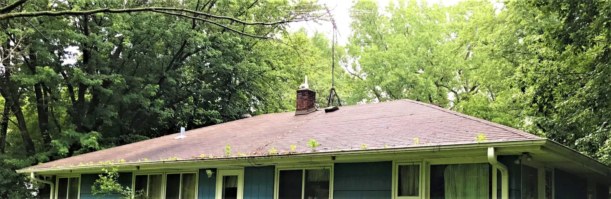clogged gutters
