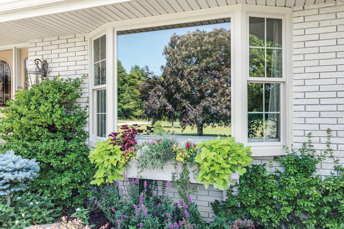 Infinity Bay Window Picture Window and Double Hung Windows-Exterior View