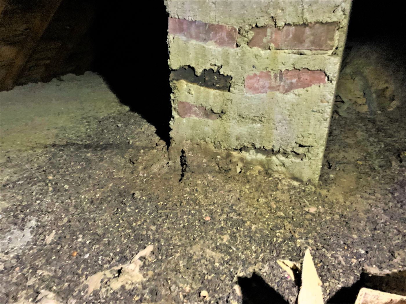 bat droppings in attic