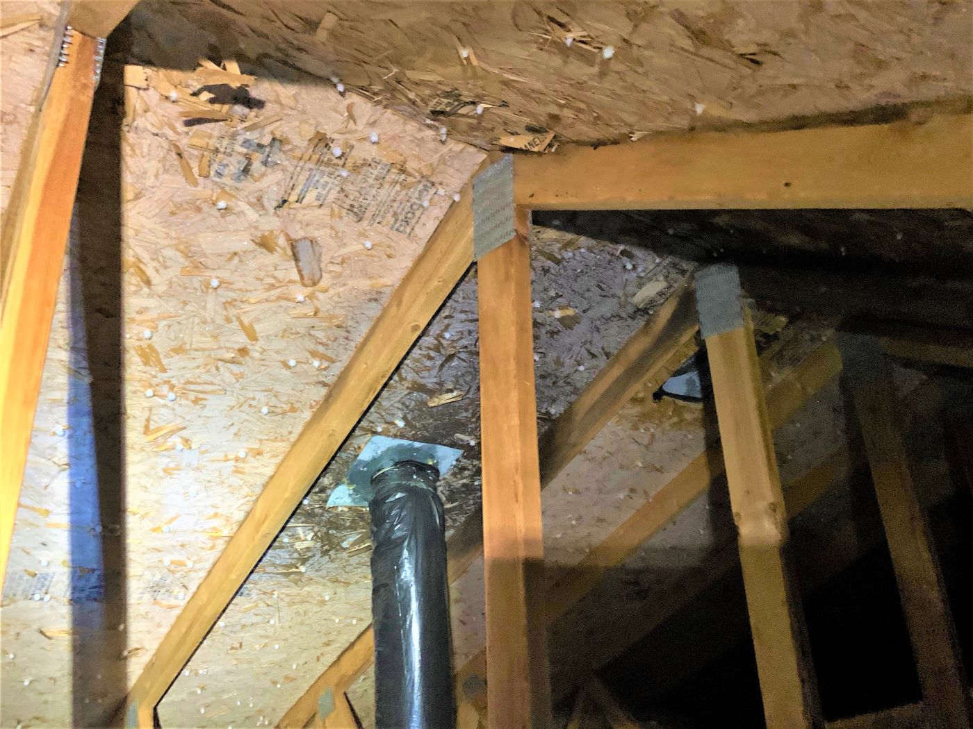 Attic showing signs of poor venting and insulation