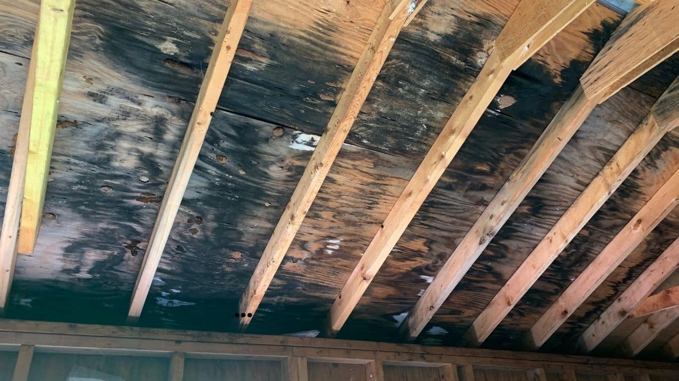 Mold growth on attic roof decking caused by trapped moisture and poor ventilation